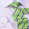 Green & Pink Stripe Sexy 3" Necktie Business Formal Elegance For Smart Men's Ego