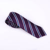 Purple & Blue & white Business Striped 3 Inch Tie Mens Professional Fashion