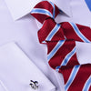 Red & Blue Formal Business Striped 3 Inch Tie Necktie Mens Professional Fashion